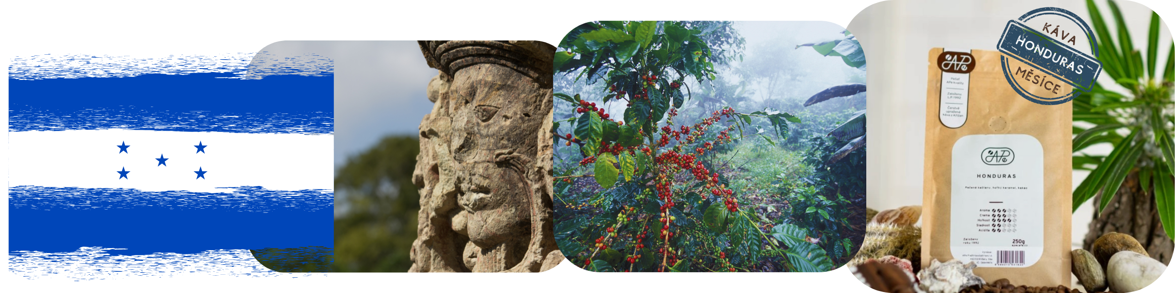 mailchimp-headerfooter