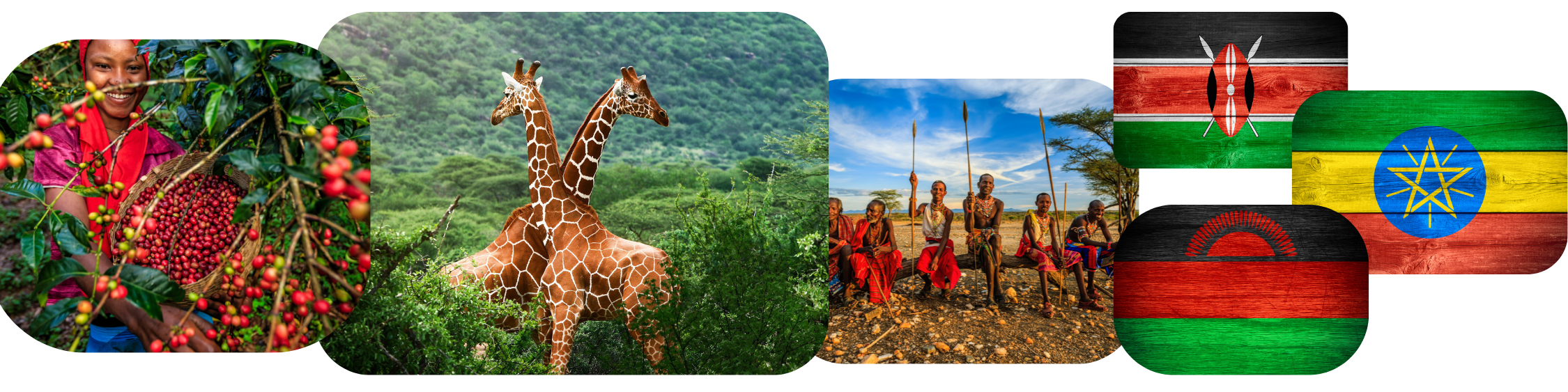 mailchimp-headerfooter(1)_13