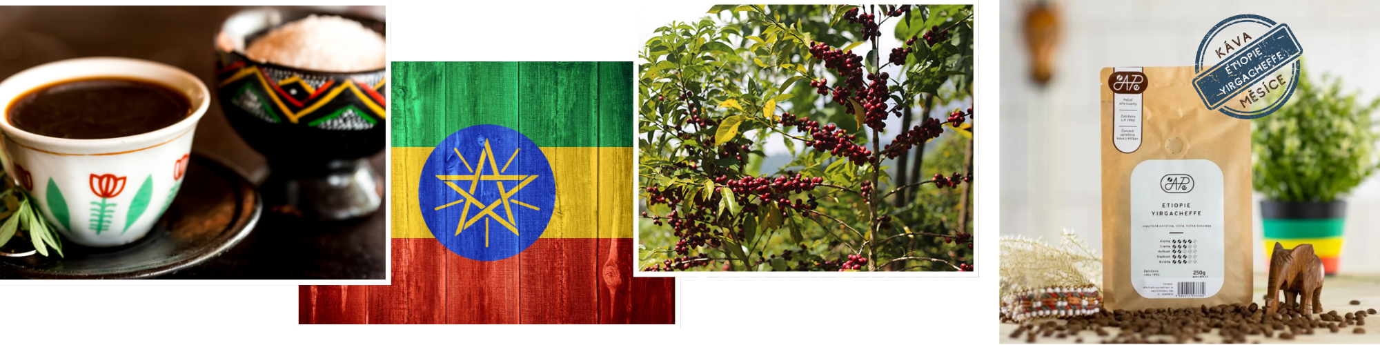 mailchimp-headerfooter(1)_2