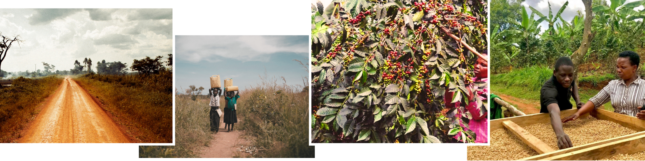 mailchimp-headerfooter(1)_8