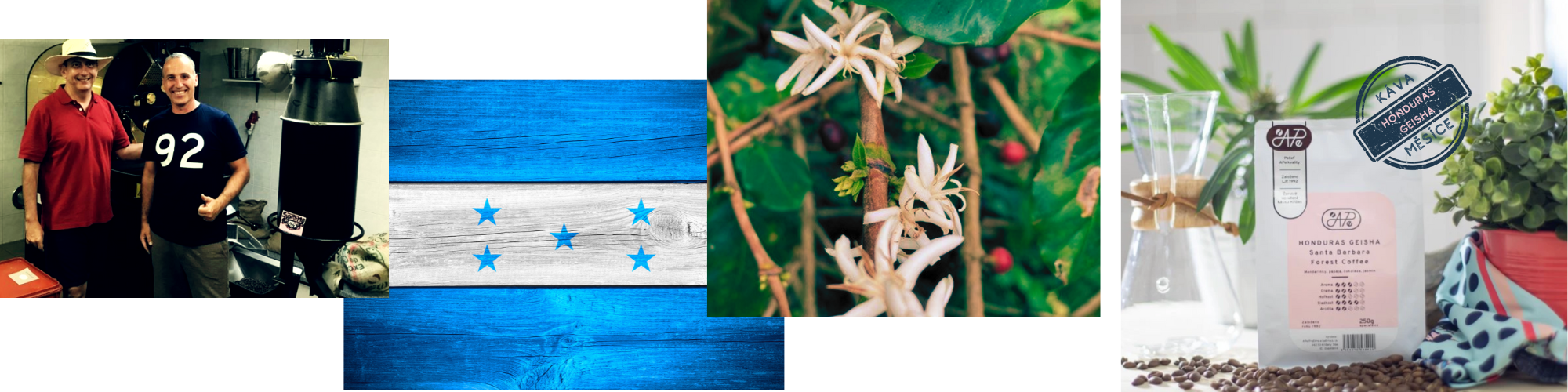 mailchimp-headerfooter(2)_2