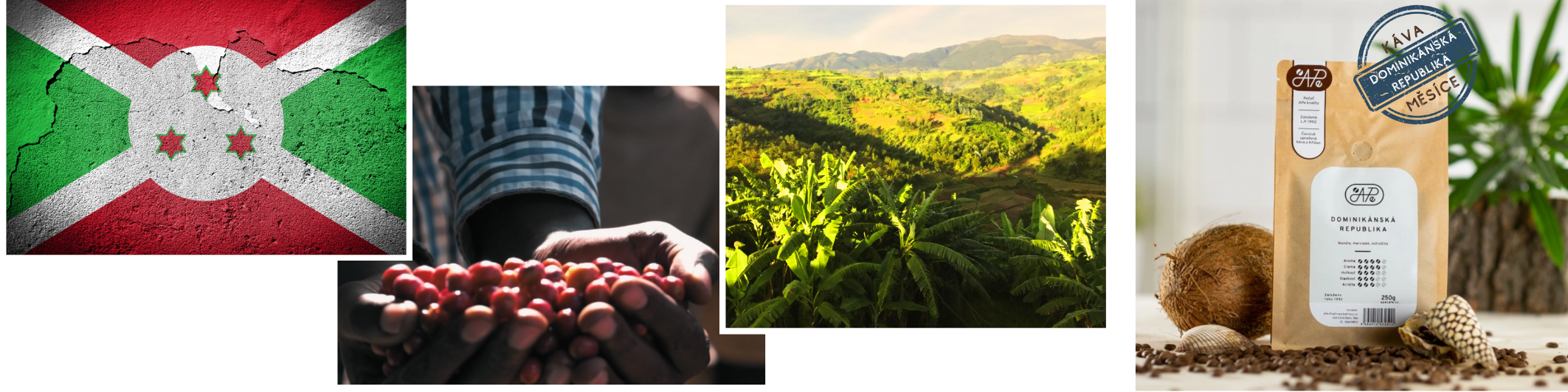 mailchimp-headerfooter_11