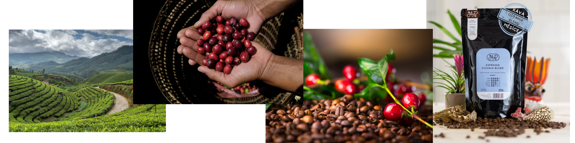 mailchimp-headerfooter_12