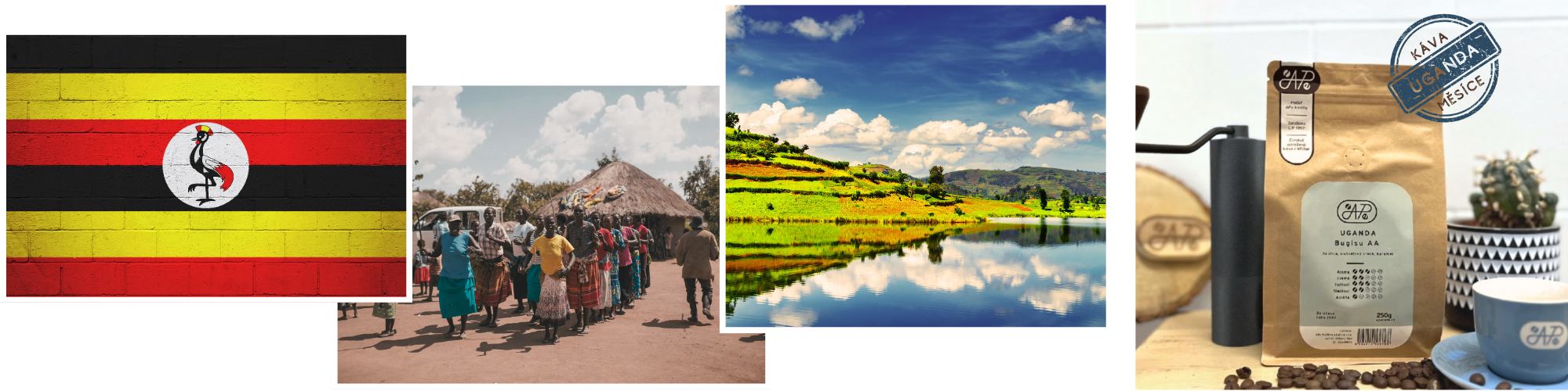 mailchimp-headerfooter_16