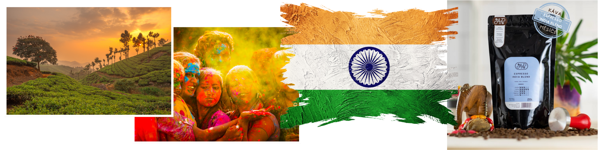 mailchimp-headerfooter_2