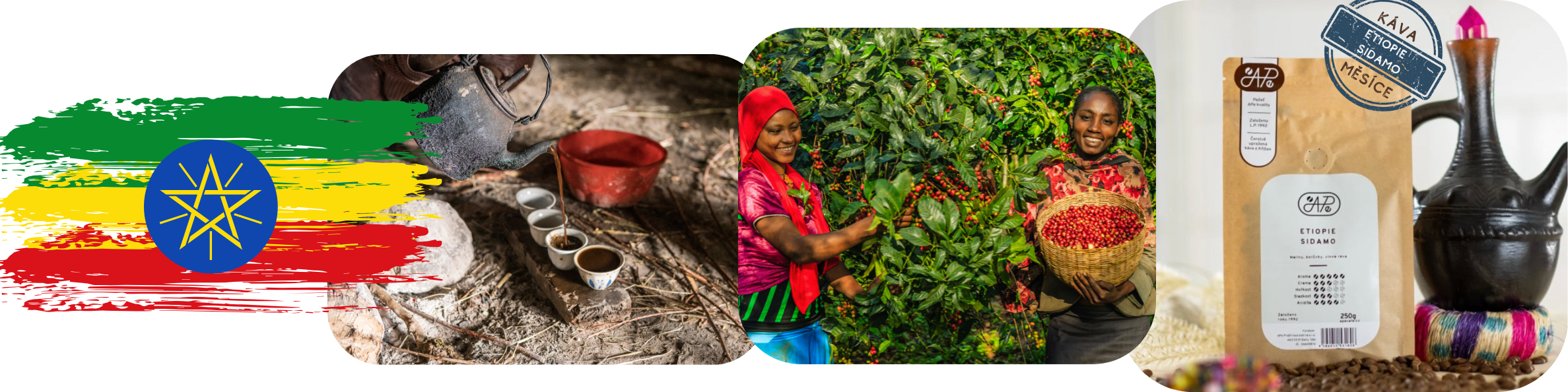 mailchimp-headerfooter_25