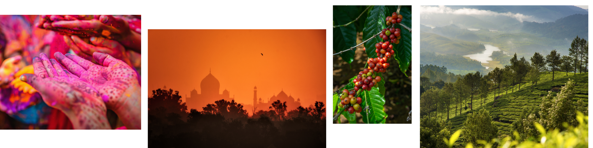 mailchimp-headerfooter_3