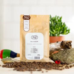 salvador1372 250g
